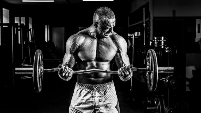 Oxymetholone: Wo ist der beste Ort, um es zu  kaufen?